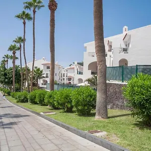 https://buenavista-torviscas-beach.in-canary-islands.com